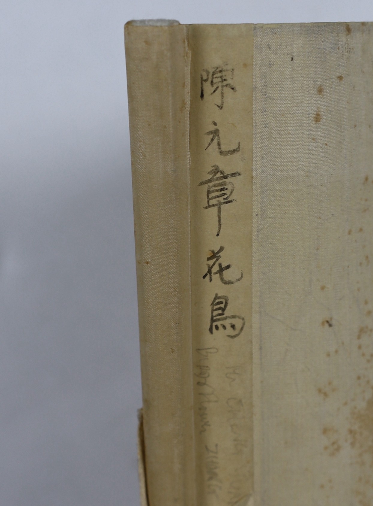 A Chinese scroll painting on silk of blackbirds perched on a blossoming branch, 19th century, image 79cm x 35cm